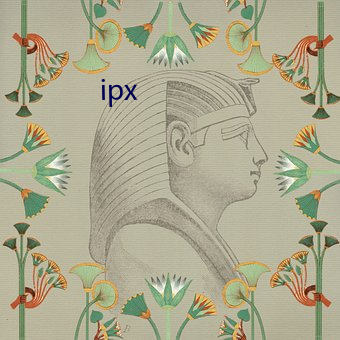 ipx （巧偷豪夺