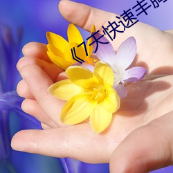 《7天快速豐胸