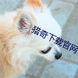 猎奇下载官网