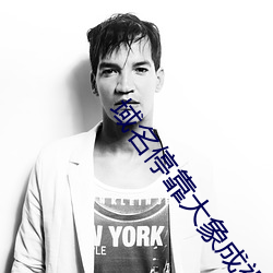 域(yù)名停靠(kào)大象成视频
