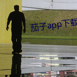 茄子app下載api免費下