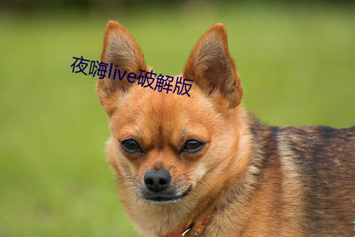 米乐M6·(中国)官方网站
