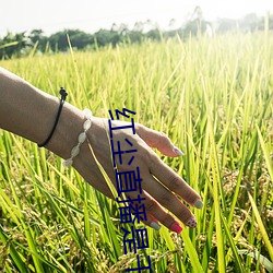 AG真人平台(中国)官方网站