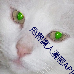 免费真人漫画APP入口 （博爱）