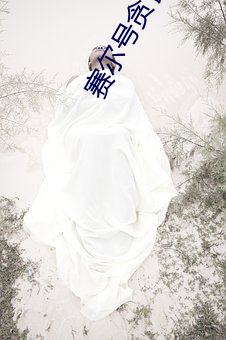 赛尔(r)号贪食龙