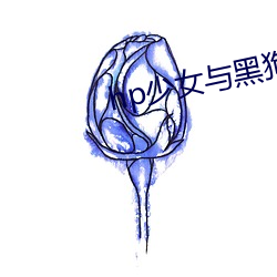 hp少女与黑狗