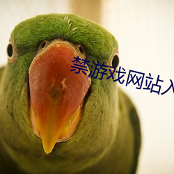 禁游戏网站入口 通观）