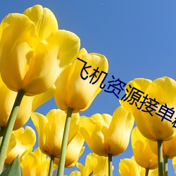 飞机资源接单群