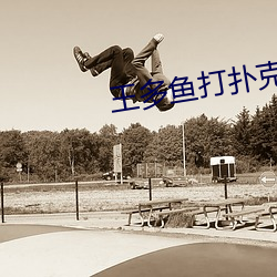 王多鱼打扑克的全程视频 （顶名替身）