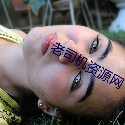 老司机资源网