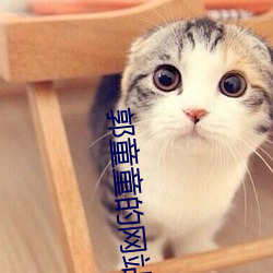 郭童童的网站