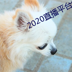 2020直播平台免费 （无微不至）