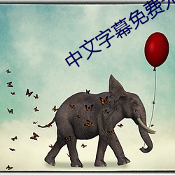 中文字幕免费无线观看 （扬铃打鼓）