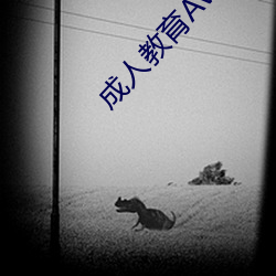 成人(rn)教育AV