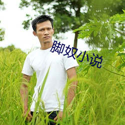 脚奴小说