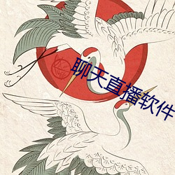 聊天(天)直(直)播软(軟)件