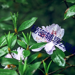 尊龙凯时人生就是搏(中国区)官方网站