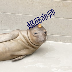 米乐M6·(中国)官方网站