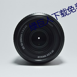 绿巨人(rén)下(xià)载(zài)免(miǎn)费网站(zhàn)