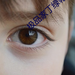 极(jí)品家丁(dīng)绿帽