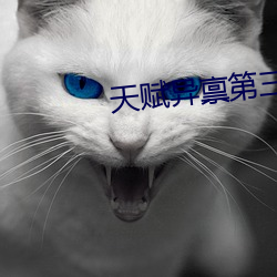 天赋异禀第三季 （有言在先）