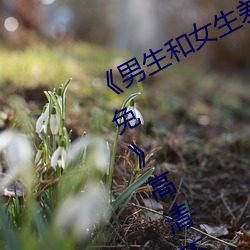 《男生和女生差差差30分電視劇輪滑免》高清不卡在線觀看