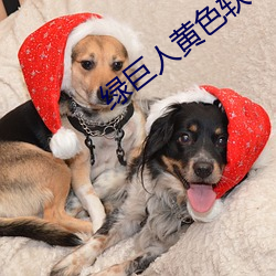 绿巨(jù)人黄色软件