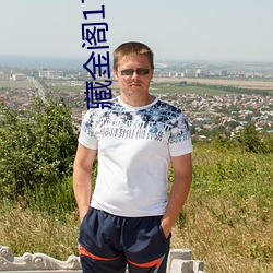 藏金阁17岁入口 （摊书傲百城）