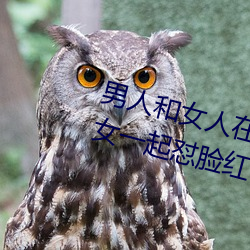 男人和女人在一起怼怼怼的大全(男女一起怼脸红合集)