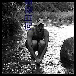 向(xiàng)日葵草(co)莓樱桃