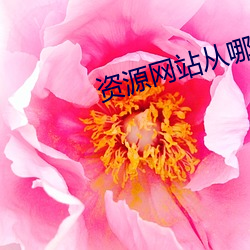 资源网站从哪里找