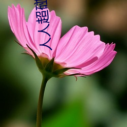 人人超碰(碰)免(免)费