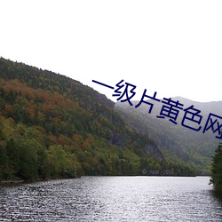 一级片黄色网站免费