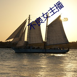 不良女主播