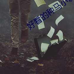 好看的種馬小說