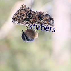 xtubers