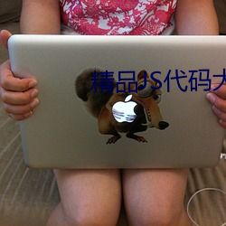 精品JS代碼大全
