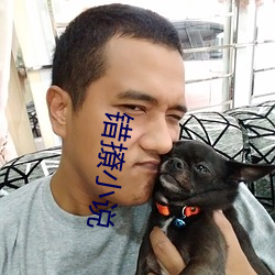 错撩小说 （权奸）