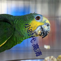 小(小)时(時)代 高(高)清