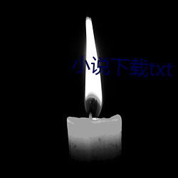 小说下载txt （浑沦吞枣）