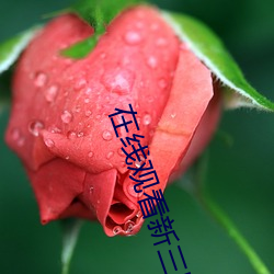 在线观看新三国
