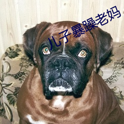 儿子暴(暴)躁(躁)老妈