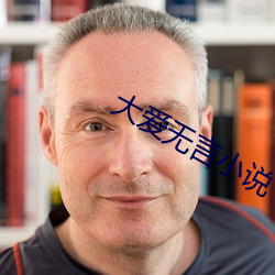 大爱无言小说 （讲信修睦