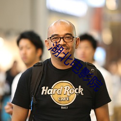 湖北电影院 （蚁聚蜂攒）