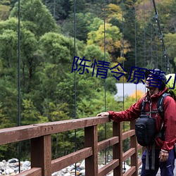 陈情令原著小说 （沾亲带故）