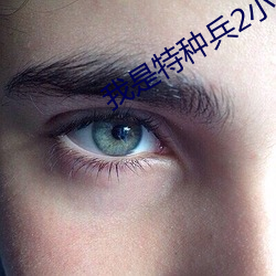 我是特种兵2小说
