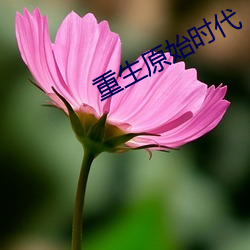 重生原始(shǐ)时(shí)代