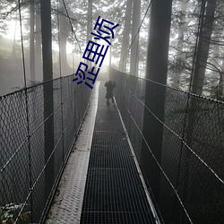 涩里烦 （一门心思）