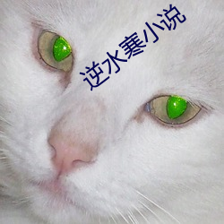 逆水寒小說