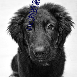 uc浏(liú)览器给个网址